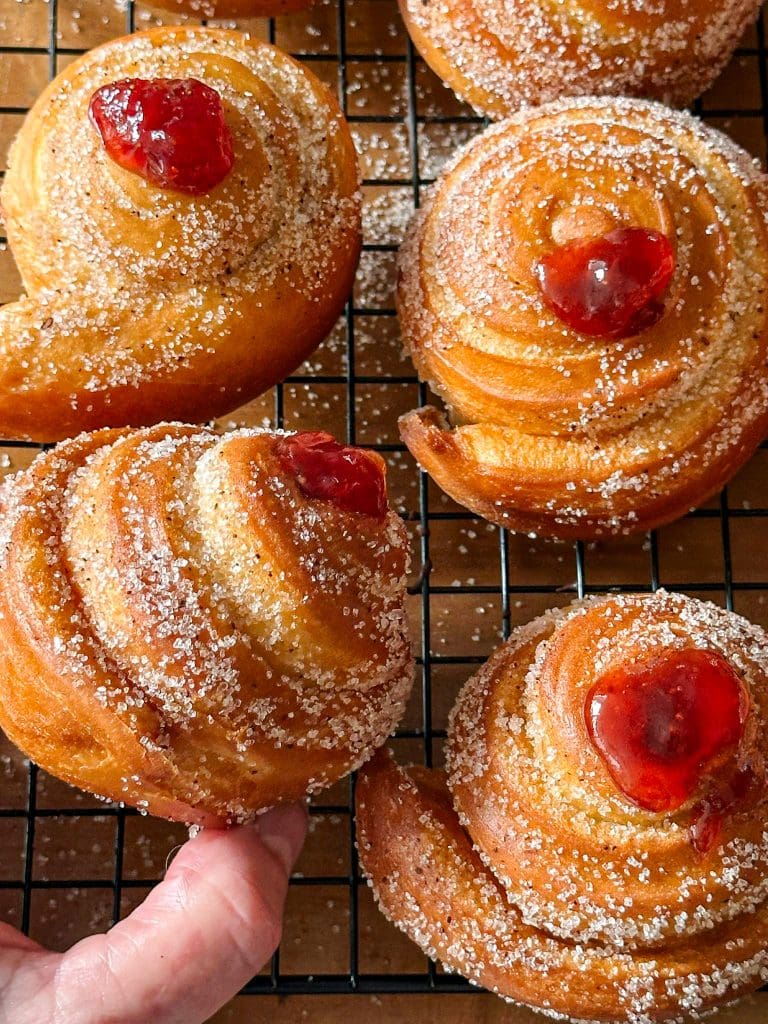 סופגניית שבלול